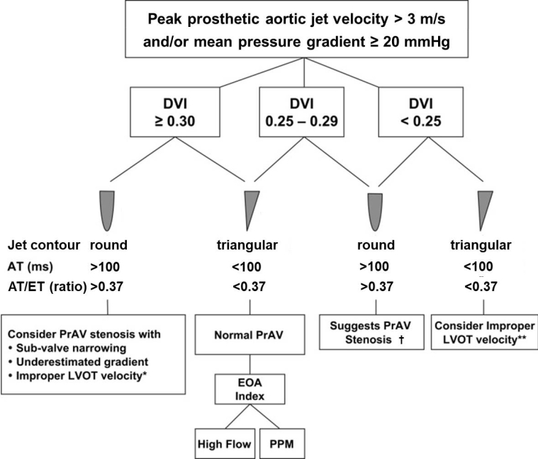 Prosthetic Heart Valves Part Complications And Dysfunction Pregnancy